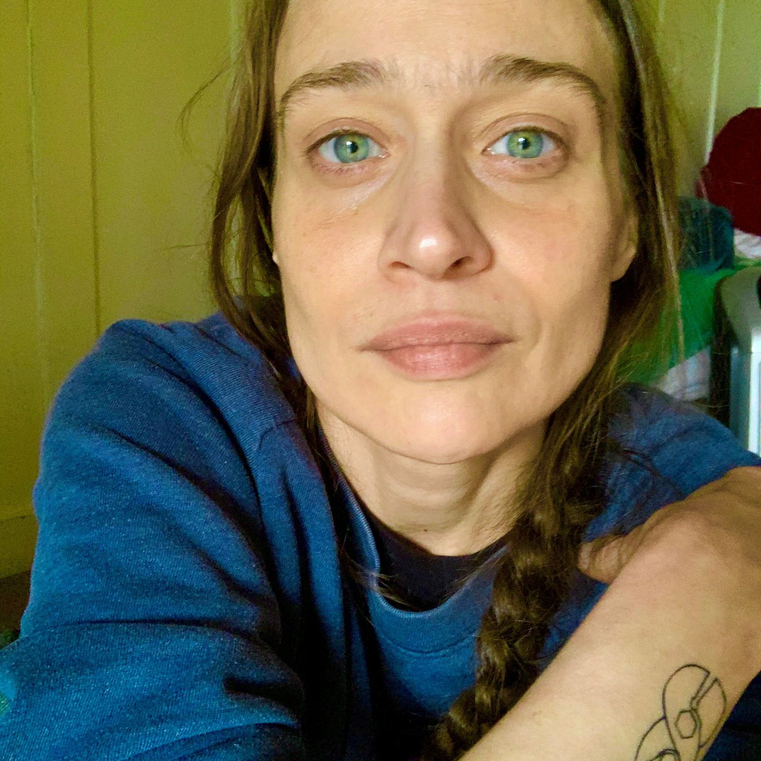 Fiona Apple Fetch The Bolt Cutters | What the Critics Say