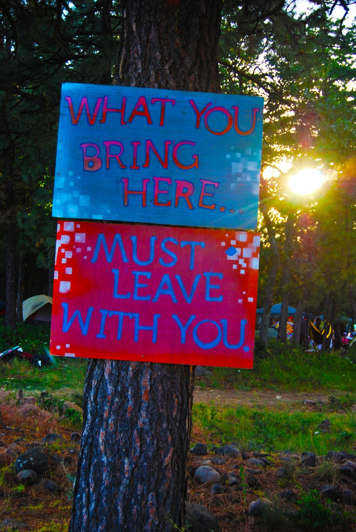 what the festival