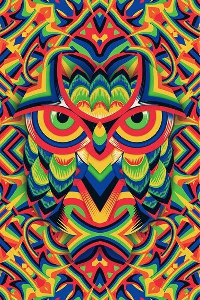 Ali Gulec Geometric Owl