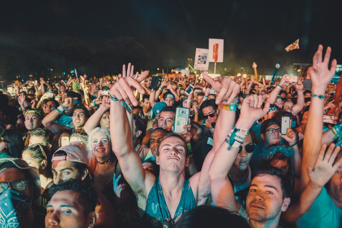 Electric Zoo: Wild Island