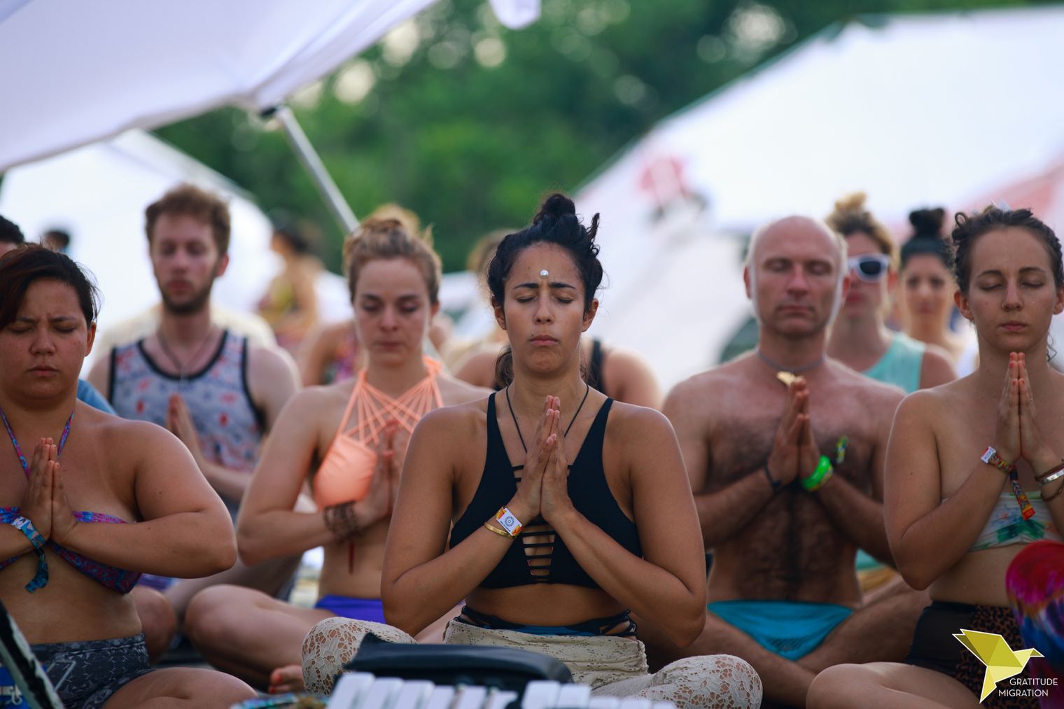 gratitude migration brittany no fomo