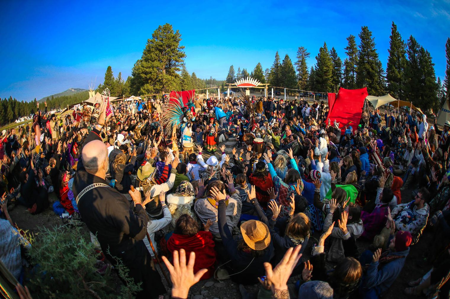 brittany no fomo - Oregon Eclipse