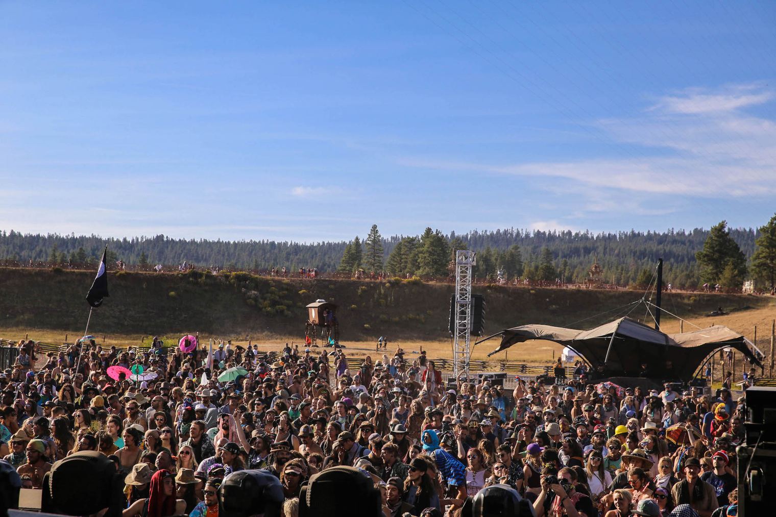 Papadosio Brittany NO FOMO