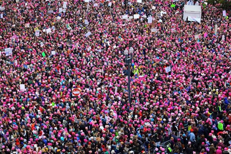 Womens March Pussy Hats