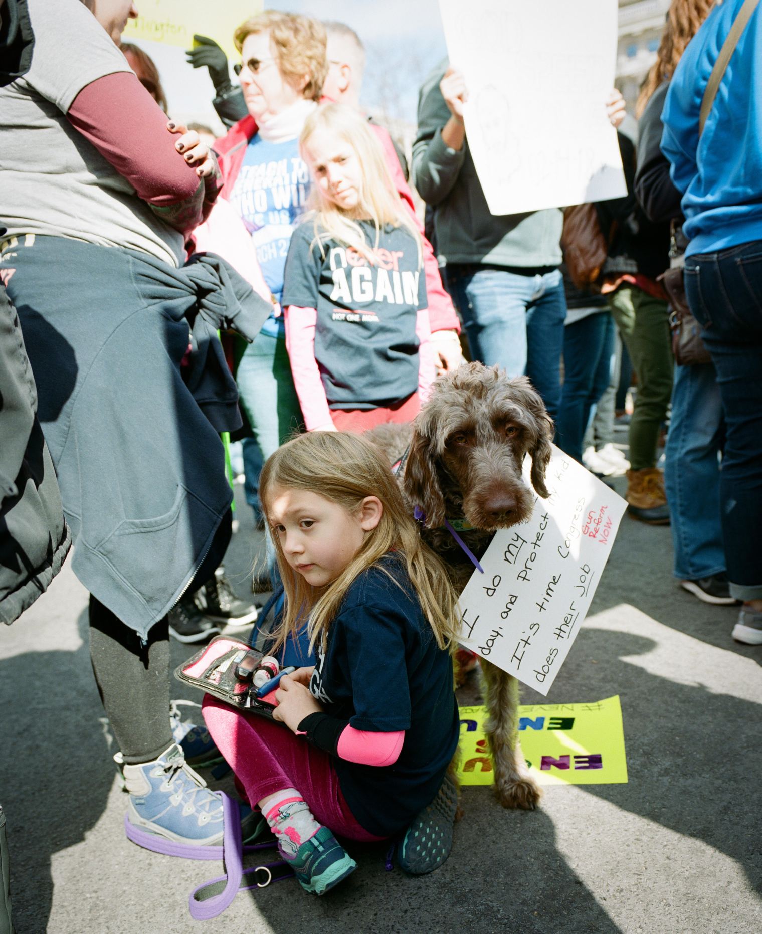 Photo Credi: Greg Tarkey