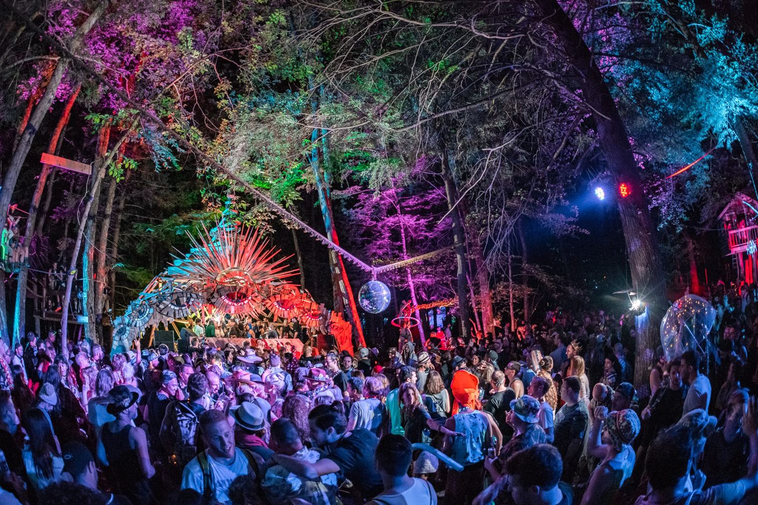 Elements Alive Coverage3