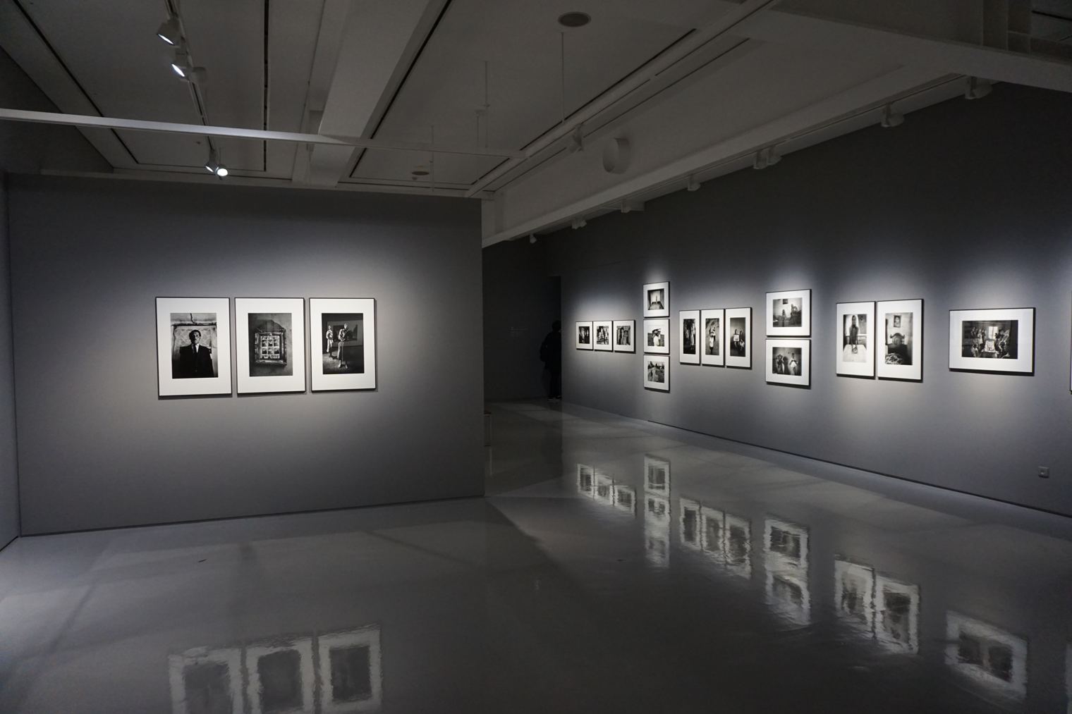 Photography exhibition on the walls of an art gallery.