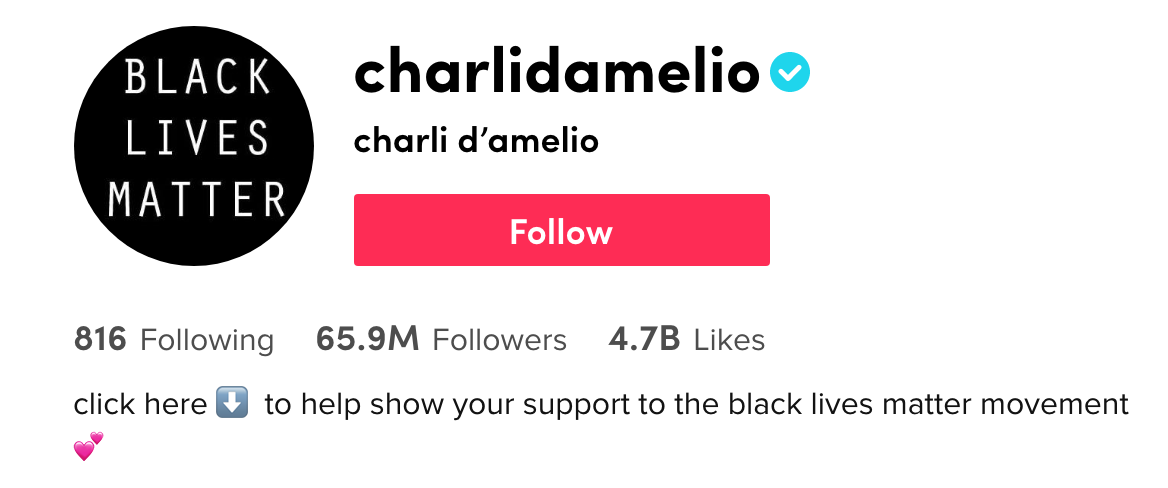 The Top 10 TikTok Songs From Influencer Charli D’Amelio