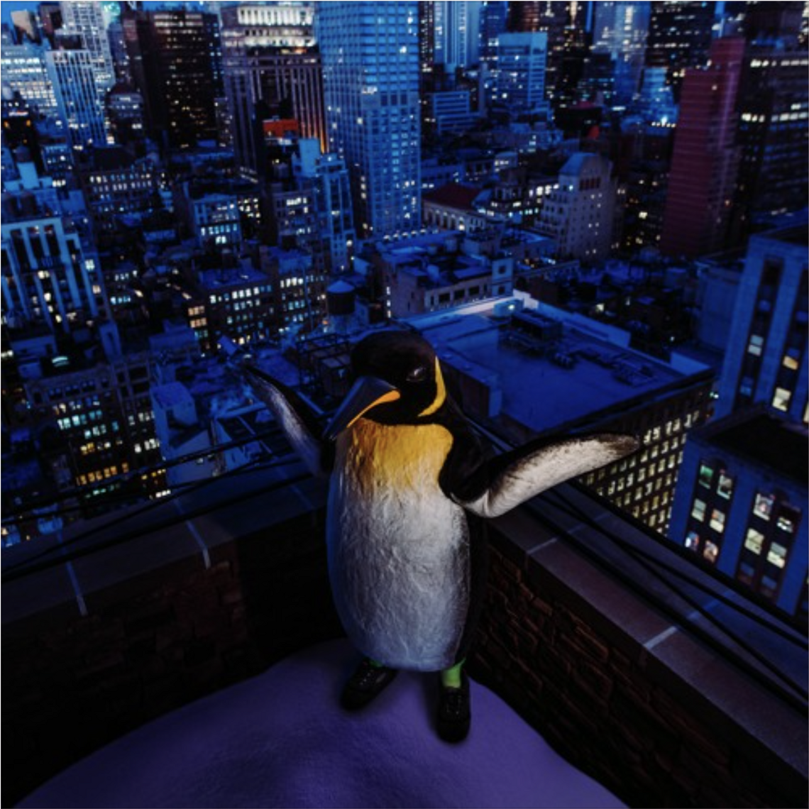 Rocket Pengwin - Planet Earth